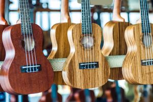 Discover the Best Places to Buy Musical Instruments Online for Every Musician