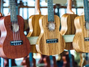 Discover the Best Places to Buy Musical Instruments Online for Every Musician