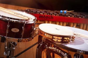 Top-Rated Percussion Instruments Every Music Student Should Consider