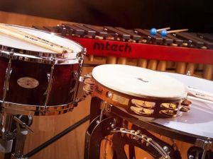 Top-Rated Percussion Instruments Every Music Student Should Consider